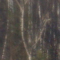Paysage