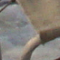 L'attirail