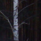 Cimetière de Chirokoreïtchinskaia