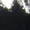 Cimetière de Chirokoreïtchinskaia