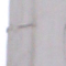 La cathédrale Hodigitria