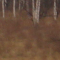 Paysage