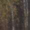 Paysage