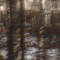 Paysage
