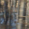 Paysage