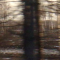 Paysage
