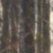 Paysage