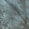 Paysage