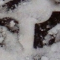 Plaque d'égout