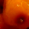 Limonnik