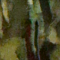Habit