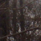 Jardin public