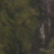 Paysage